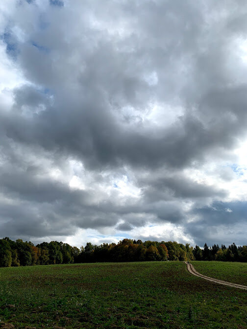 Прошли через этот лес и спустились по этой дороге к усадьбе