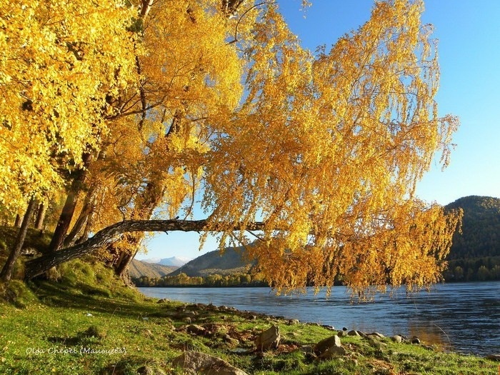 Фото: https://vk.com/stolby, https://vk.com/zapovednikstolby,https://vk.com/enisey_meridian (Ольга Малышева). 