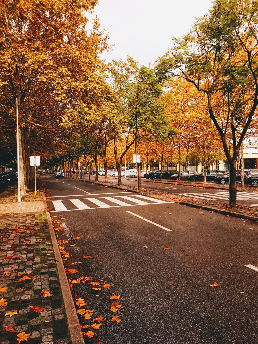 https://unsplash.com/photos/MDWVnbndTdA