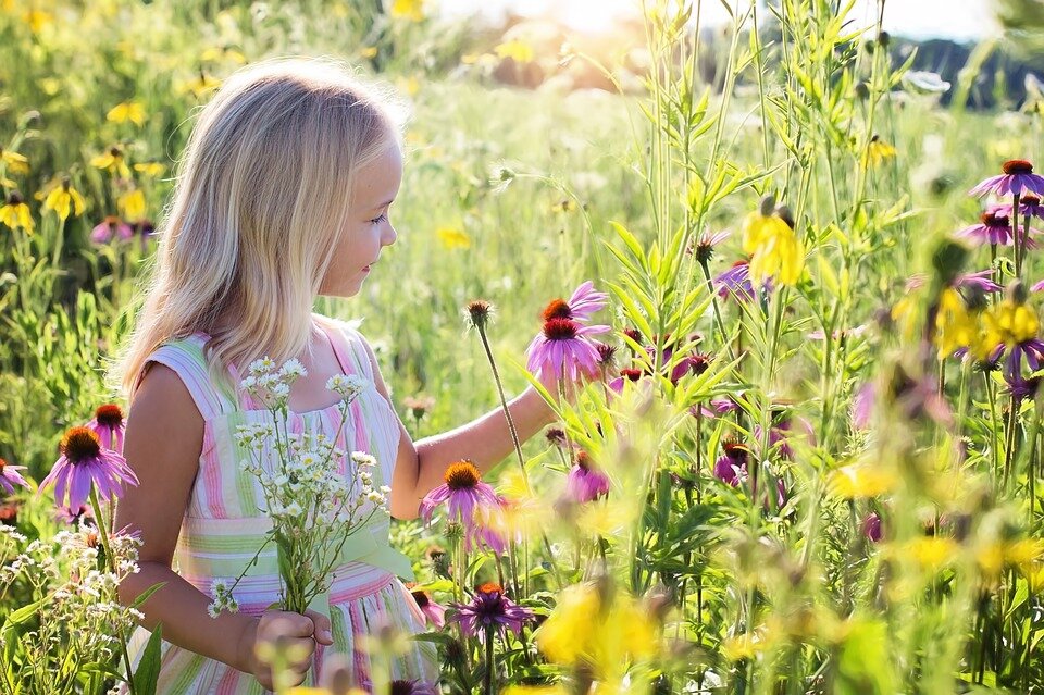 https://cdn.pixabay.com/photo/2017/07/18/18/01/little-girl-2516578_960_720.jpg