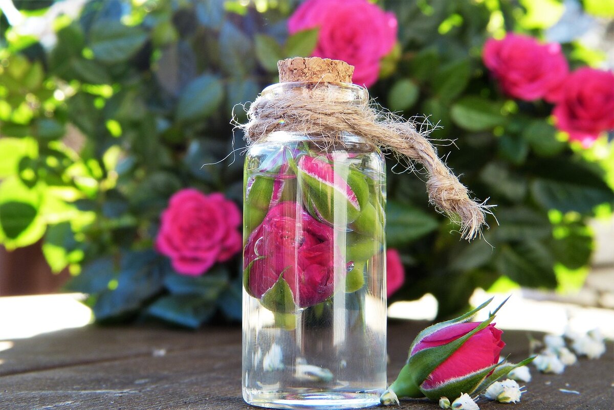 https://pixabay.com/photos/rose-water-glass-blossom-bloom-3411891/