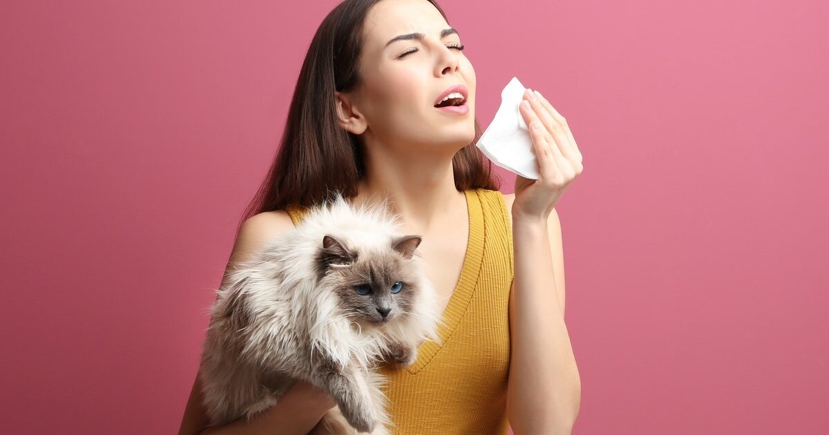 Аллергия на кошек. Фото из сервиса Яндекс. Картинки 