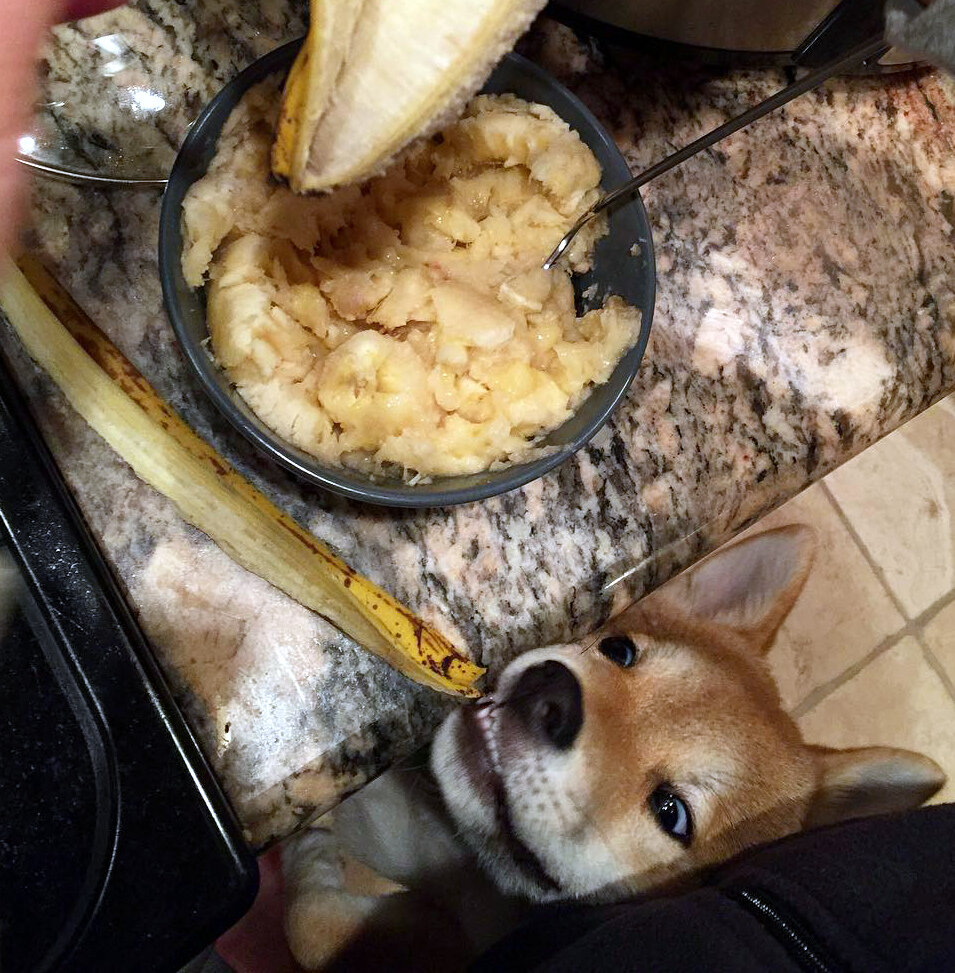 Почти! Я почти дотянулся! Еще чуть-чуть... 