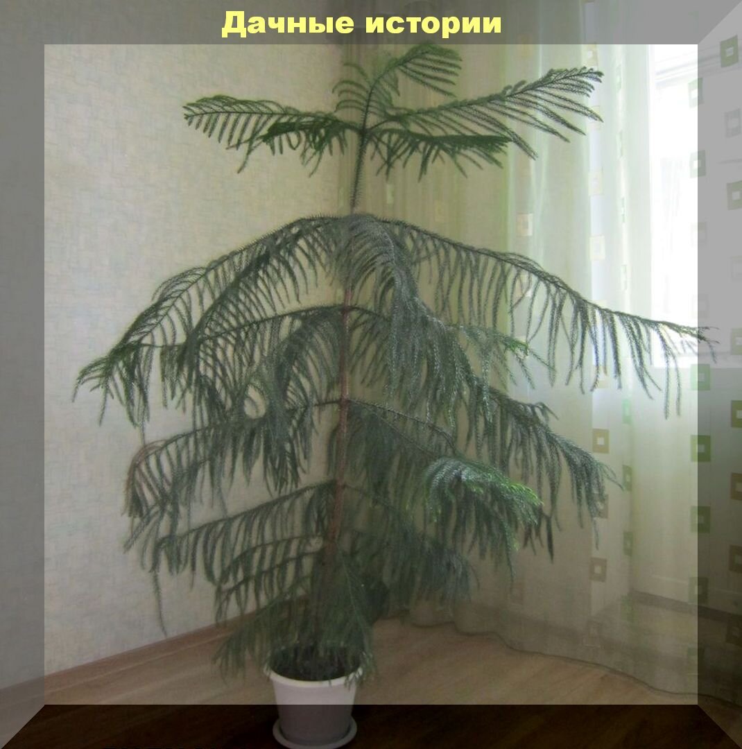 https://vk.com/photo-159774511_457243488