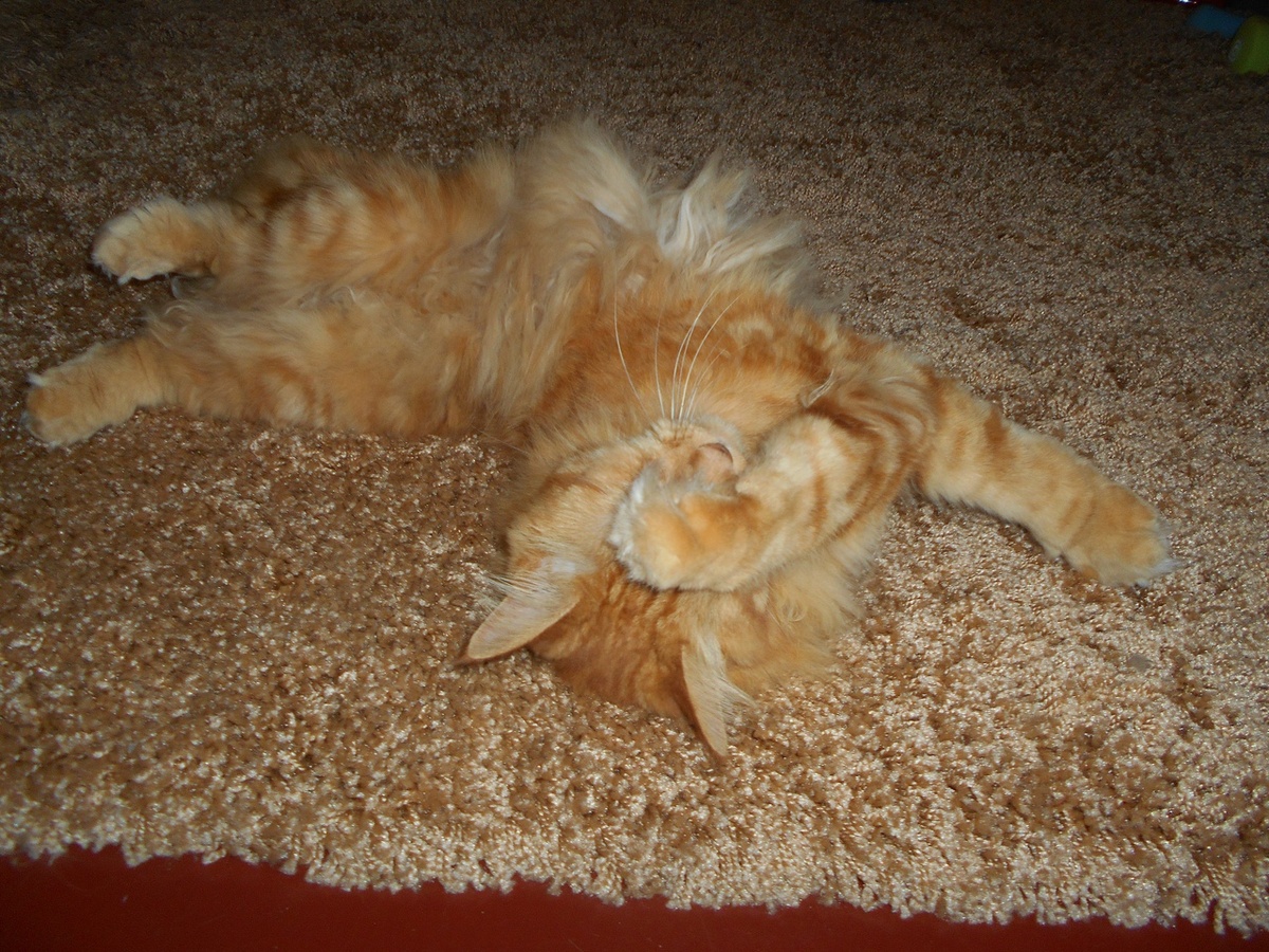 маскировка