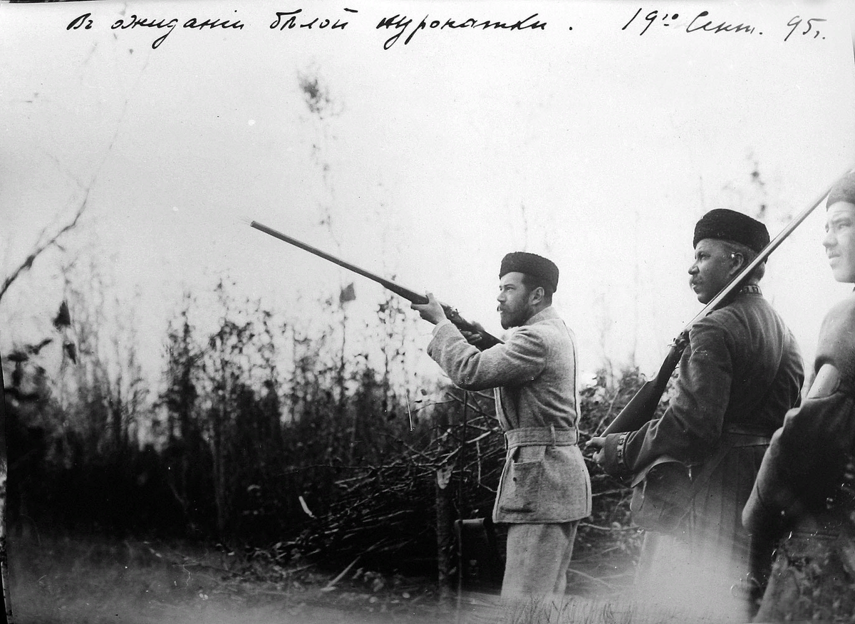 "В ожидании белой куропатки".