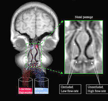 Stanford Report источник: https://news.stanford.edu