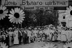 Ромашка уже  более 100 лет является символом борьбы с туберкулёзом.
Кстати, 24 марта - Всемирный День  борьбы с туберкулзом.