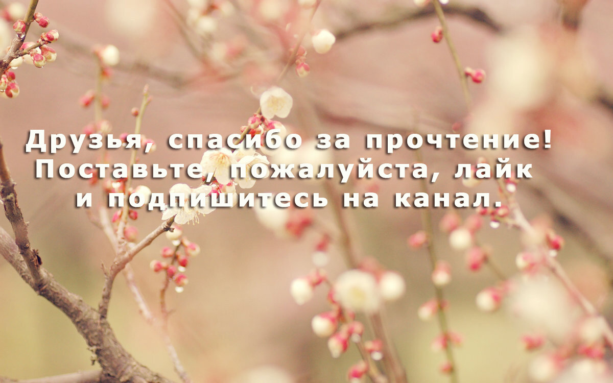     Что делать, когда тёмная сущность в облике покойного человека не оставляет тебя в сновидениях и раз за разом изводит твою психику своим появлением?-2