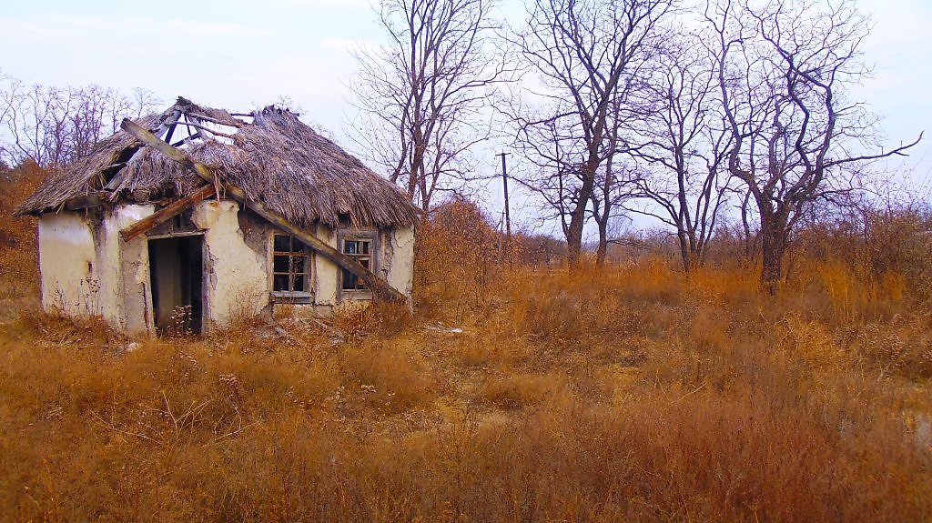 Заброшенных сел в Украине становится все больше.