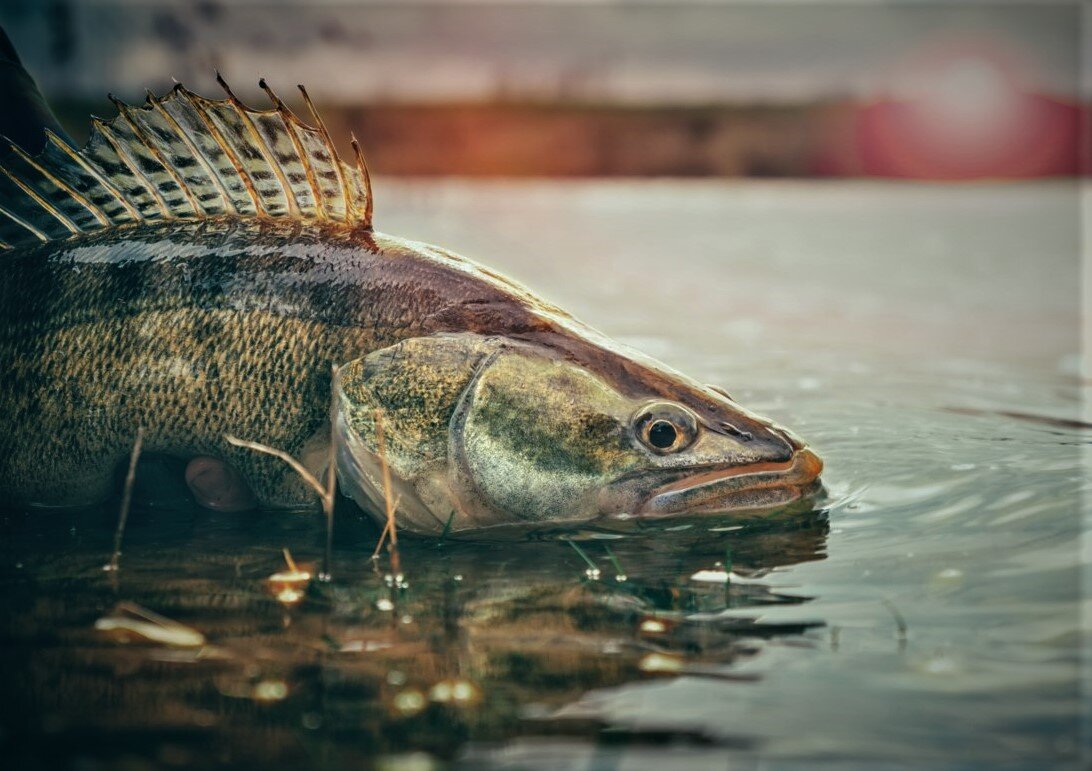 Судак. Яндекс.Картинки
