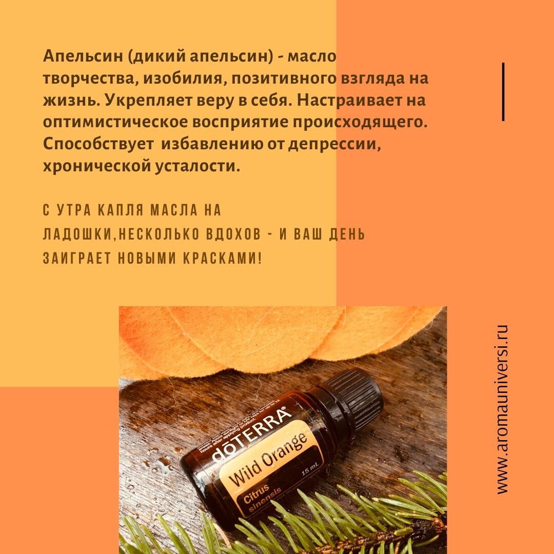 Апельсин (дикий апельсин)
