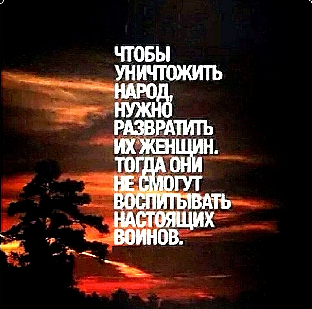 Людмила Нарусова: Мы еще не построили фундамент демократии, а уже меняем крышу