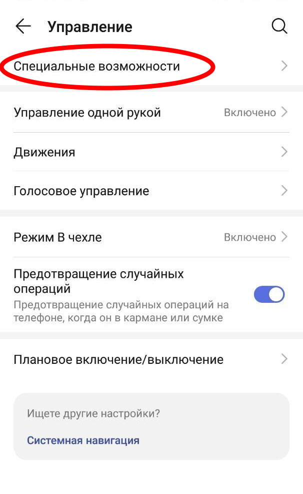 Выберите пункт «Специальные возможности» 