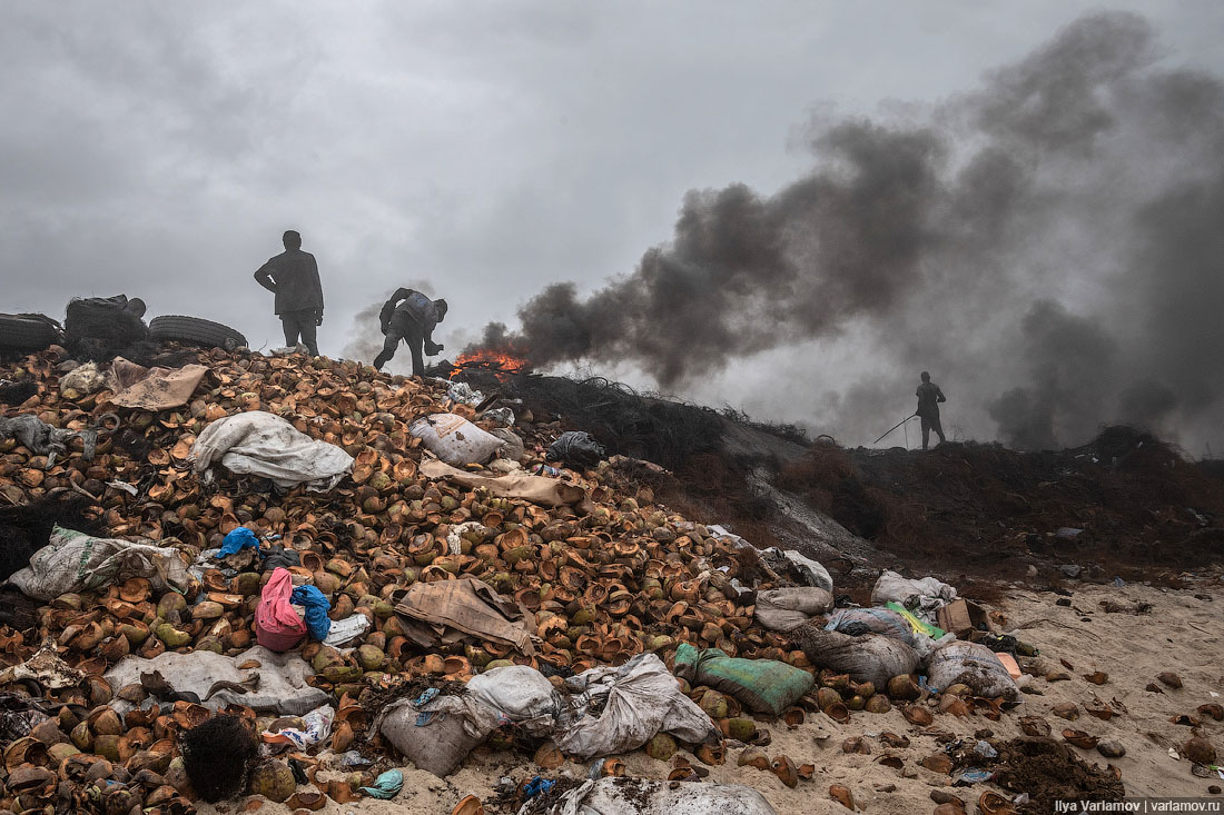 Средней Азии, бассейн реки Колорадо, СШ. В настоящее время проблемами опустынивания охвачено около 80 стран мира .
