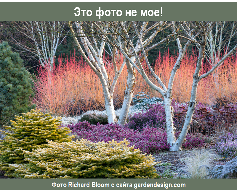 The Bressingham gardens