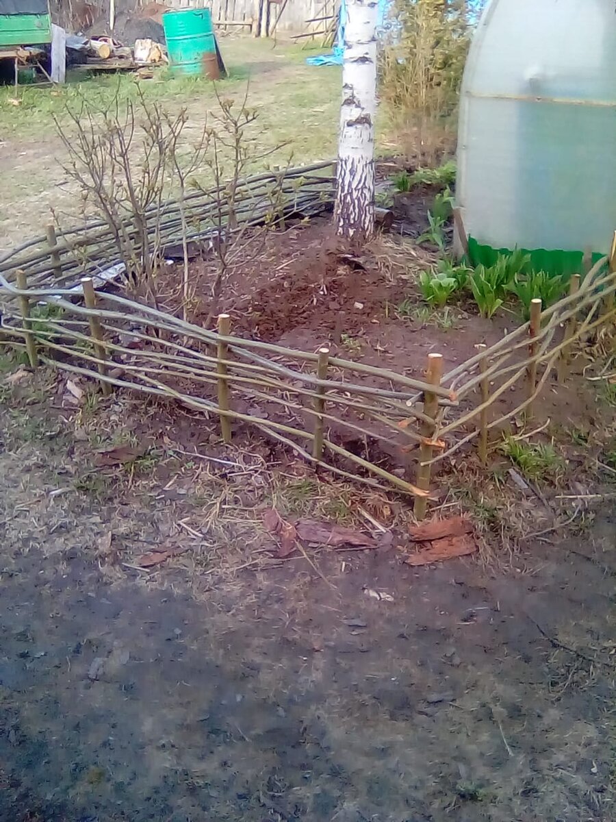 Фото из архива автора