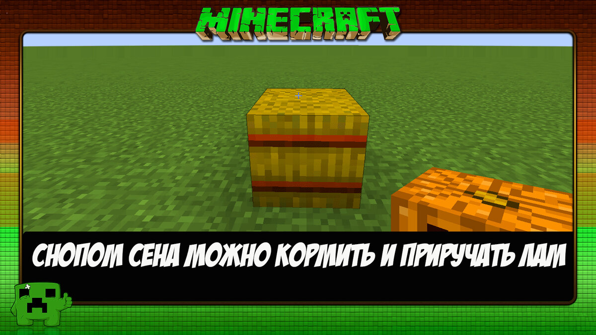 Факты о Minecraft в картинках №9 | Ксения Че Play. Канал о Майнкрафт | Дзен