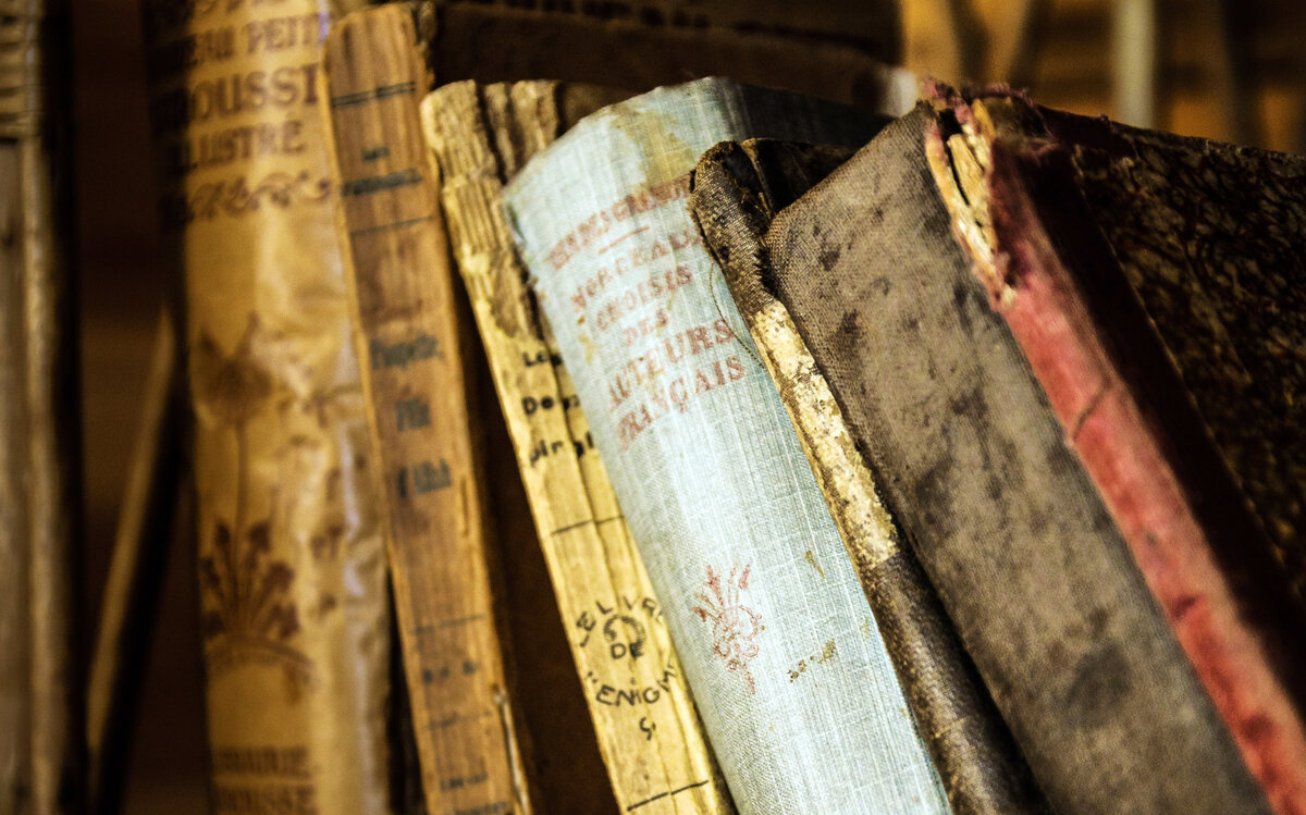 Фото: jarmoluk/pixabay.com