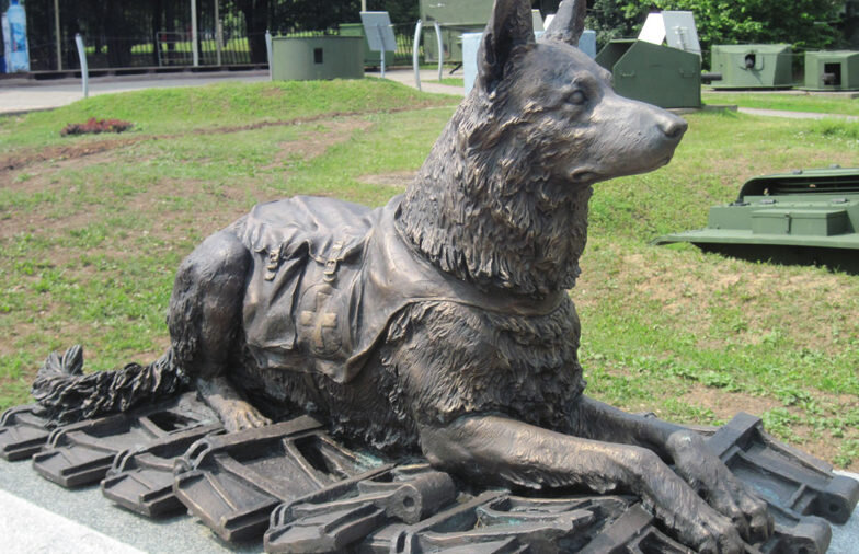 Источник https://shkolazhizni.ru/animal/articles/56757?fbclid=IwAR1Ycicl2ZThzFJOlLpKexb3SQogkrfbYBrdLrdBOdBcKhrcKroAw3D9AP0