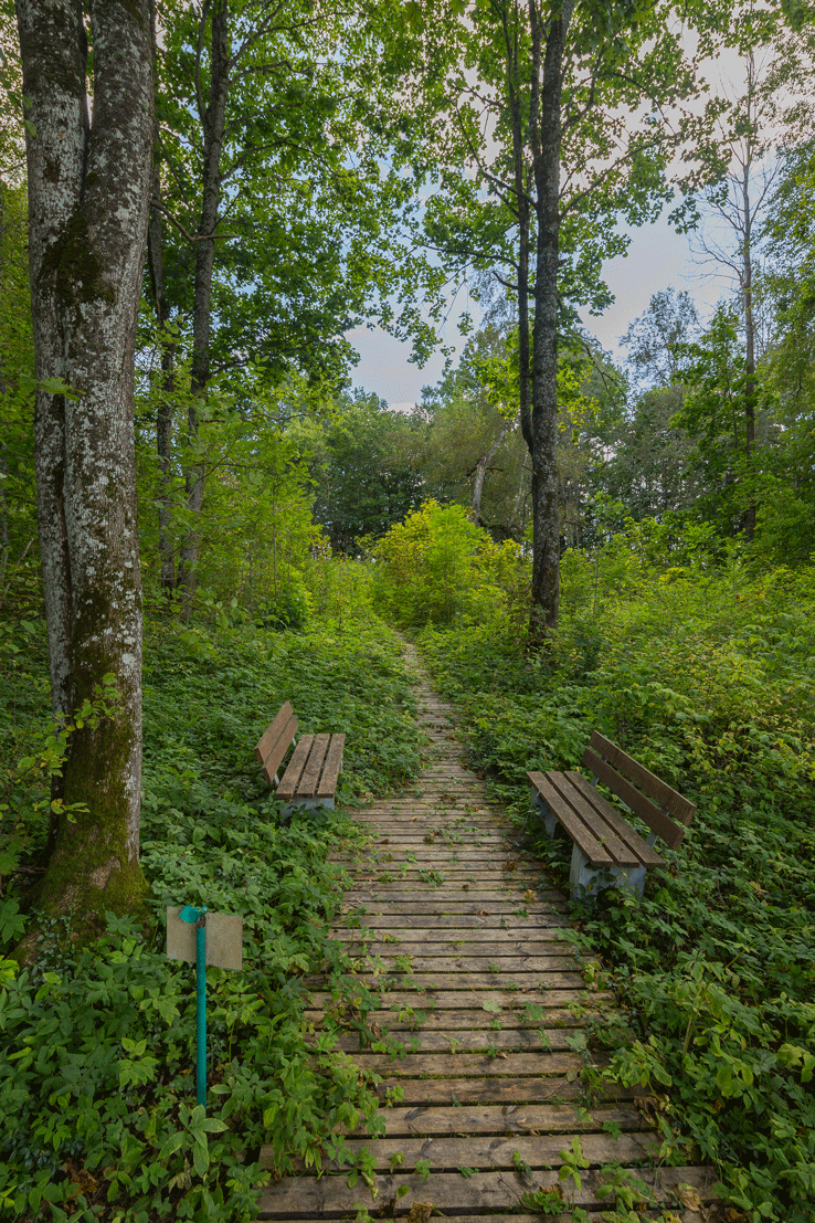 Автор фото - Федор Лашков