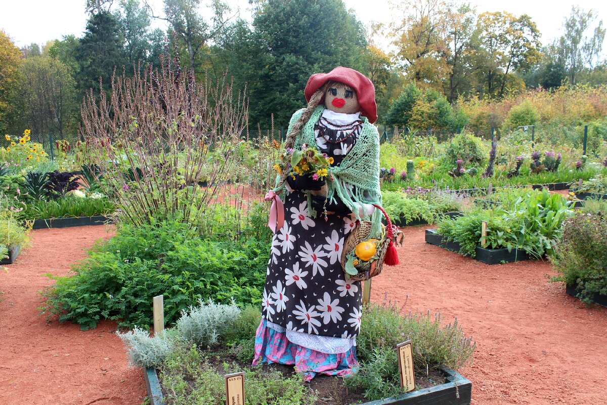 Садоводство Боде в Павловском парке. Осень 2020 года