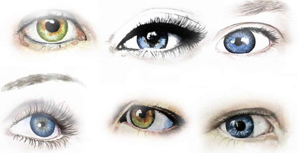 Форма глаз. Знаки жизни