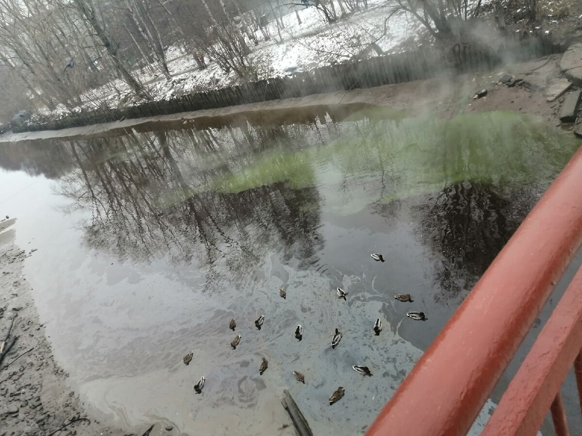 Масляное пятно