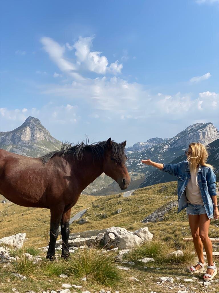 Самое благородное животное 🐎 Эта встреча была очень волнительной, эмоциональной и волшебной! Энергетика у лошадей просто фантастическая! Такой трепет в душе...