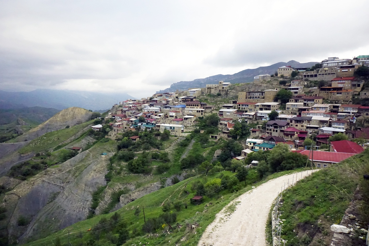 Саша Сенокосов