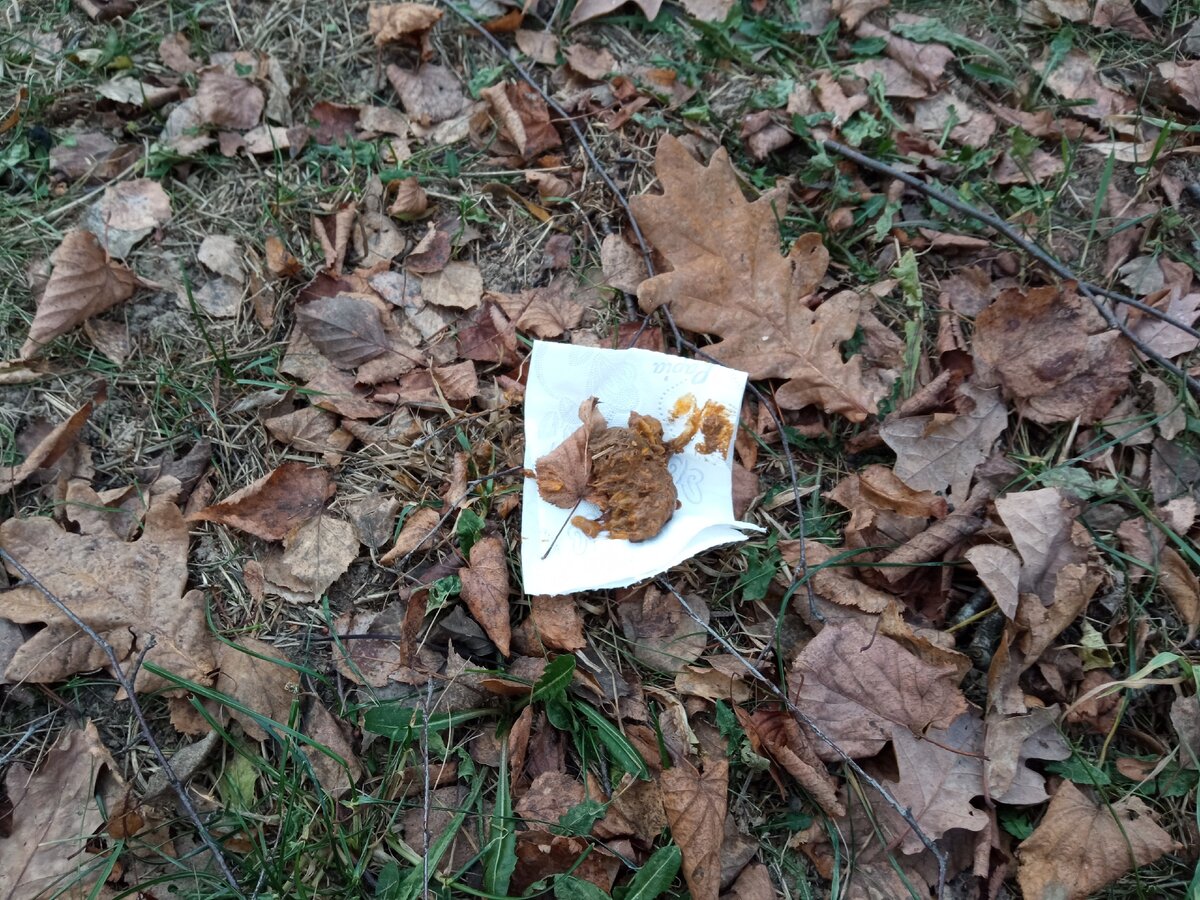 Собираем экскременты