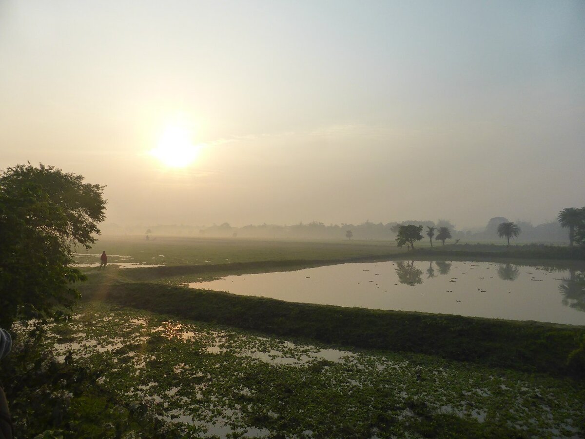 Утро в Западной Бенгалии