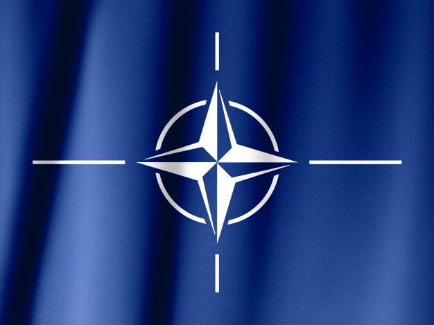 Турция стала "троянским конем и кошмаром в НАТО"