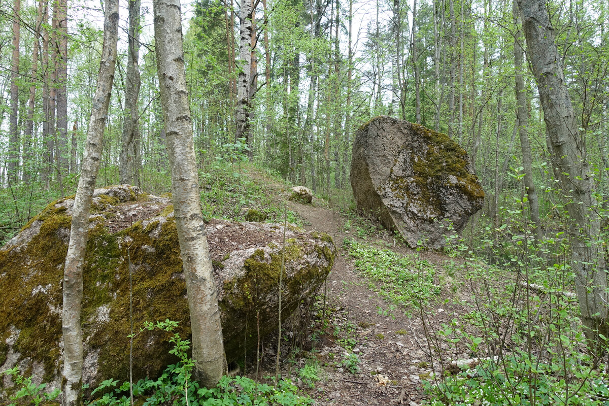 Ленин в шушенском фото в шалаше