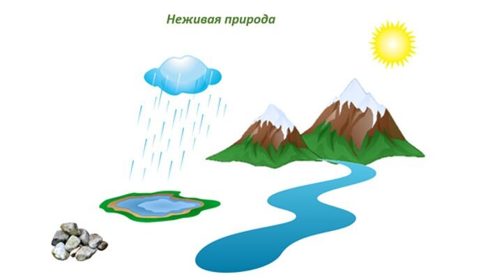 Картинки неживой природы