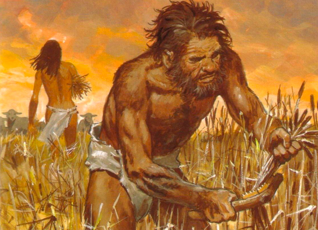 Stone age. Первобытное общество Неолит земледелие. Кроманьонцы земледелие. Земледелие первобытных людей. Земледелие древнего человека