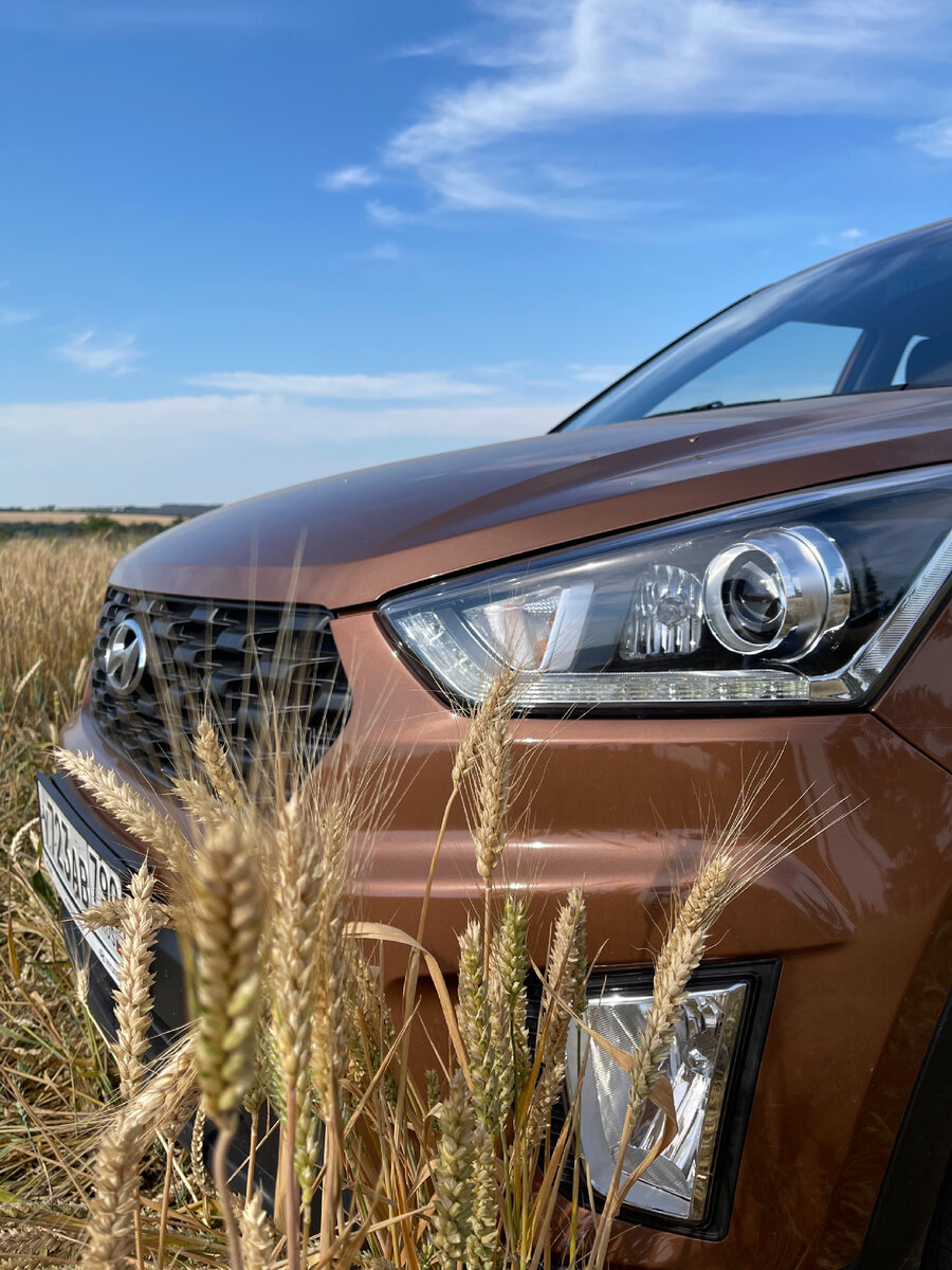 Где-то в поле