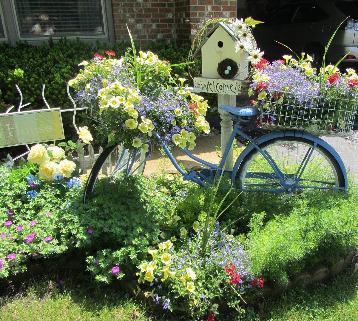 11 цветов, которые украшают садовый участок моей свекрови | Блог многодетной мамы | Дзен