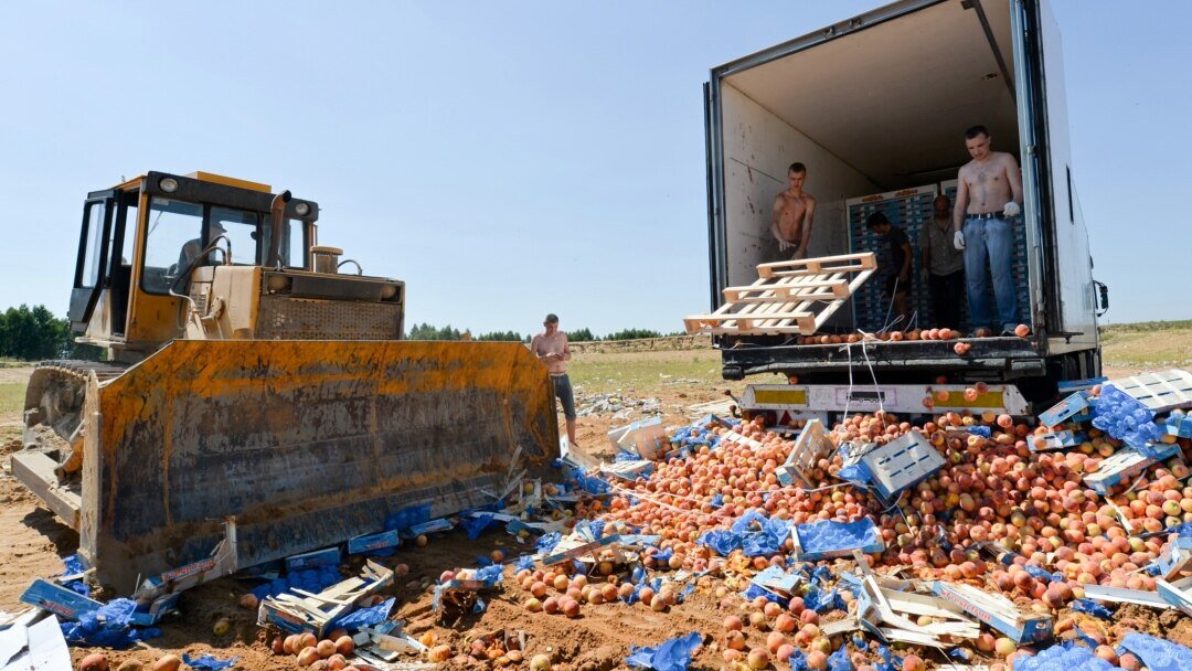 Фото из открытого источника в Интернете