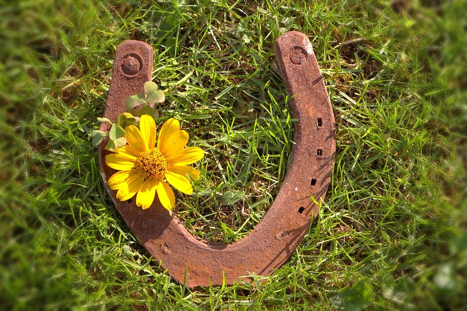 найденную подкову нужно забрать домой