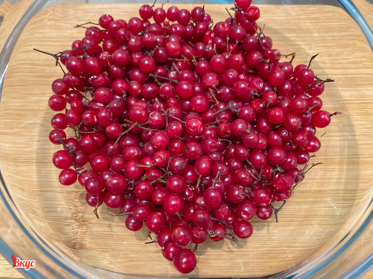 Ягода калина