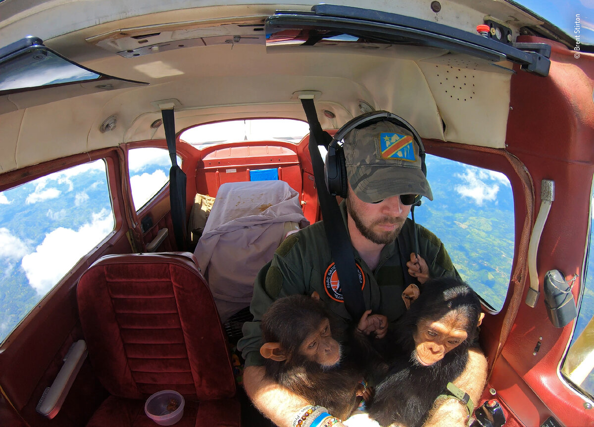 © BRENT STIRTON, Wildlife Photographer of the Year