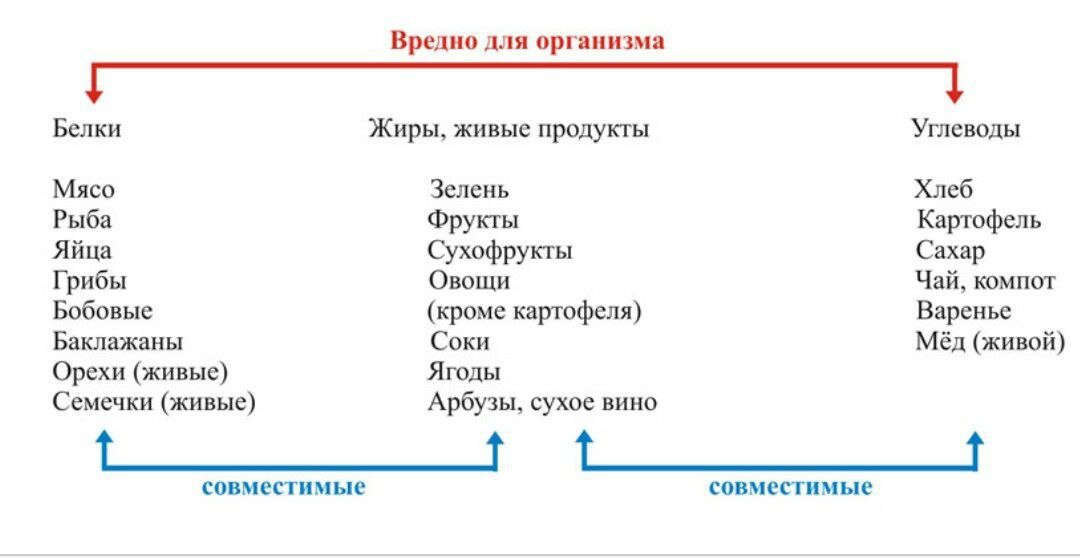 Совместимость продуктов при раздельном питании