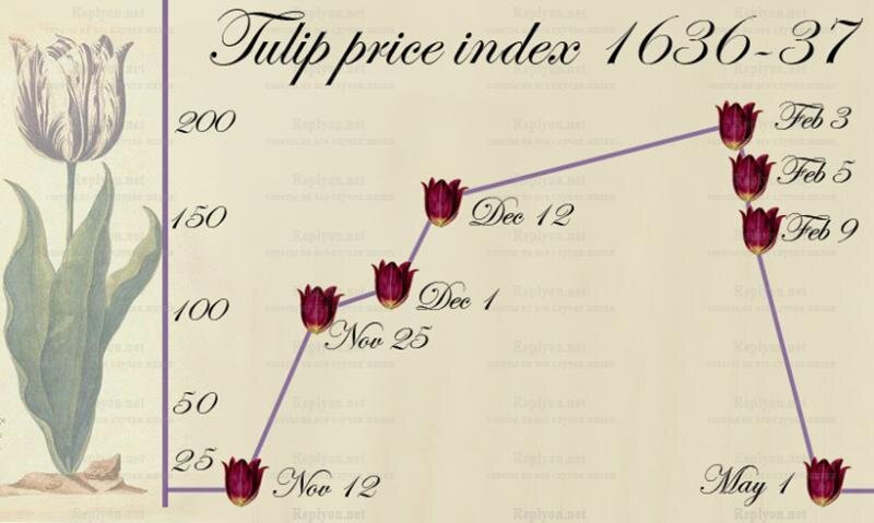 Рост цен на тюльпаны