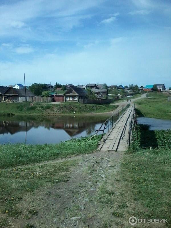 Фото из интернета 