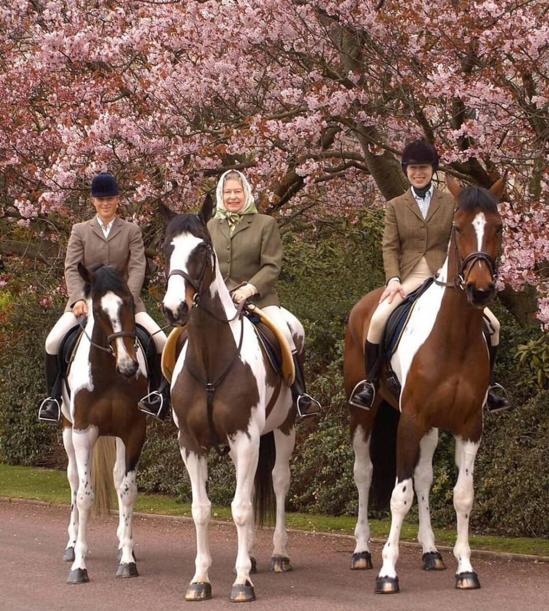 Из интернета.