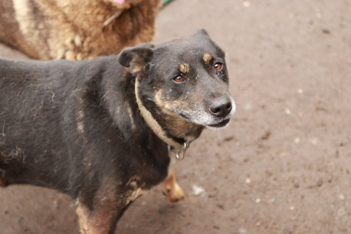 Мы часто принимаем как должное именно то, за что нам стоит быть благодарными
