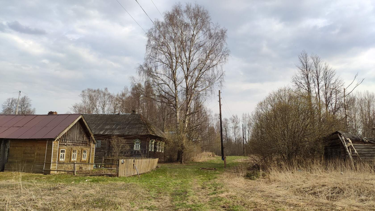 фото - улица села Качаева. 2020 г.