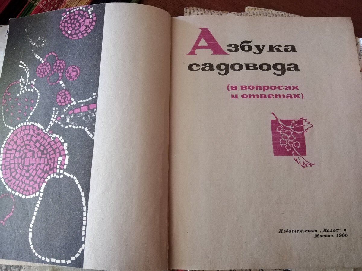 Фото автора.