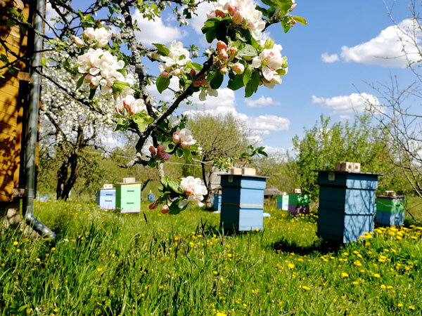 фото из интернета